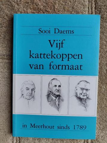 Vijf kattekopen van formaat (Meerhout) beschikbaar voor biedingen