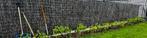 Heidematten 150cm hoog, Tuin en Terras, Tuinschermen, Overige materialen, 200 cm of meer, 100 tot 150 cm, Gebruikt