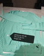 Vestje green ice 40/42 ., Kleding | Dames, Truien en Vesten, Maat 42/44 (L), Ophalen of Verzenden, Zo goed als nieuw, Groen