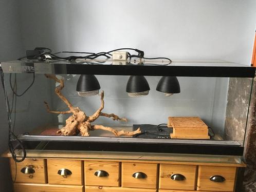 terarium, Animaux & Accessoires, Reptiles & Amphibiens | Accessoires, Utilisé, Terrarium ou Paludarium, Enlèvement