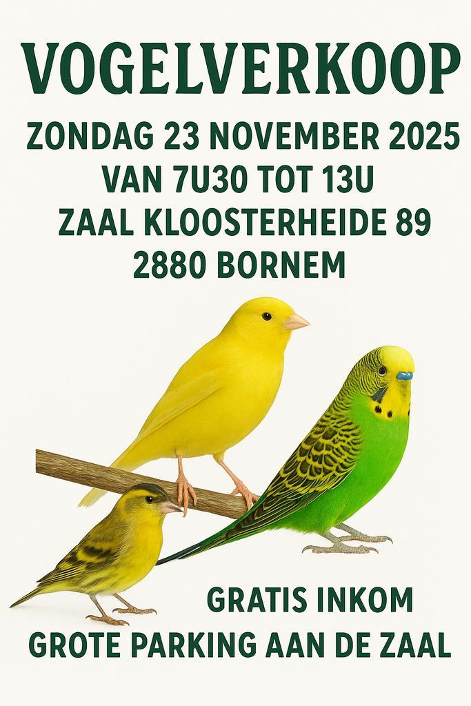 Vogelverkoop, Dieren en Toebehoren, Vogels | Overige Vogels