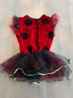 Carnaval kleding lieveheersbeestje, Kinderen en Baby's, Ophalen of Verzenden, Zo goed als nieuw