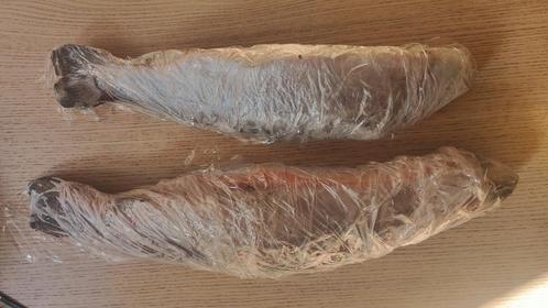 Forel en Zalmforel te koop, Zakelijke goederen, Horeca | Overige, Ophalen