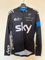 Koerstrui team Sky, Ophalen of Verzenden, Zo goed als nieuw, M