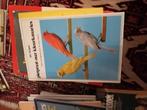 Boeken over Kanaries, Dieren en Toebehoren, Vrouwelijk, Kleurkanarie