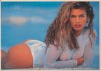 (m72) Cindy Crawford, promotiefoto, Envoi, Utilisé
