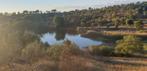 Ferme du sud du Portugal dans le Baixo Alentejo à rénover av, Immo, Étranger, Vila Verde de Ficalho, 10 pièces, Campagne, 500 m²