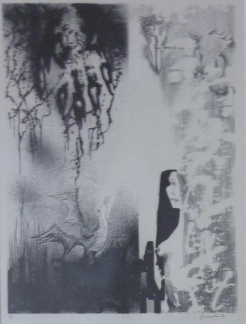 JAN VAERTEN / FIGURATIE / ZW-W LITHO / 83x63cm / KADER / SIG, Antiek en Kunst, Kunst | Litho's en Zeefdrukken, Ophalen