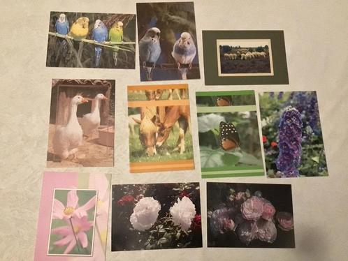 10 postkaarten thema natuur dieren bloemen, Verzamelen, Postkaarten | Themakaarten, Natuur, Ophalen of Verzenden