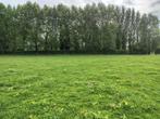 Terrain à bâtir, Neupre, 1500 m² of meer