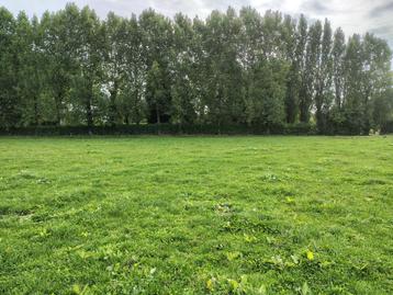 Terrain à bâtir, Neupre, 1500 m² ou plus