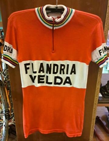 wollen koerstrui Velda- Flandria beschikbaar voor biedingen