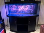 Aquarium Juwel Vision 450 met tijdgestuurde Led verlichting, Dieren en Toebehoren, Ophalen, Gebruikt, Leeg aquarium