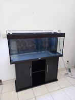 Aquarium juwel, Dieren en Toebehoren, Vissen | Aquaria en Toebehoren, Ophalen