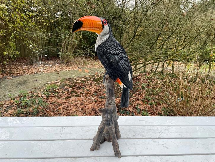 (Tuin)Beeld toekan, tuin, zwembad, vijver 65cm, Tuin en Terras, Tuinbeelden, Nieuw, Dierenbeeld, Kunststof, Ophalen