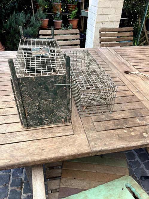 2 degelijke vangkooien voor ratten, Tuin en Terras, Overige Tuin en Terras, Gebruikt, Ophalen of Verzenden