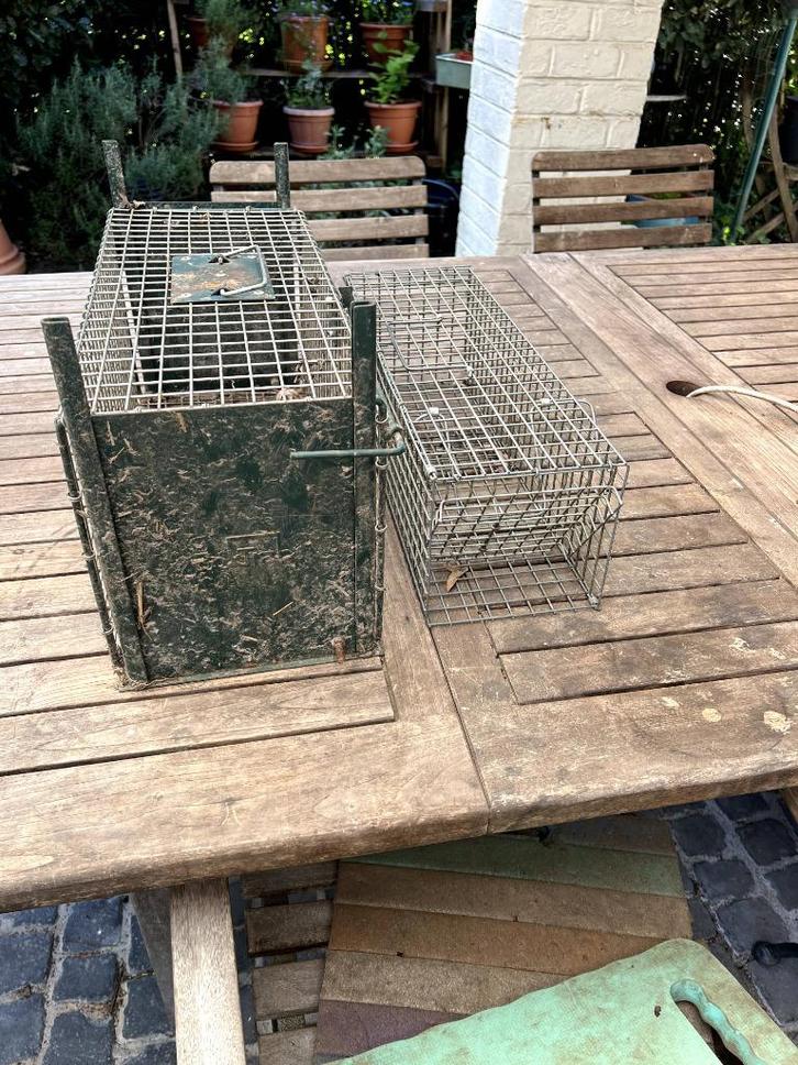 2 degelijke vangkooien voor ratten, Tuin en Terras, Overige Tuin en Terras, Gebruikt, Ophalen of Verzenden