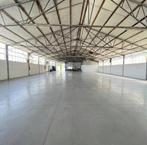 Opslagruimte - loods - magazijn met bureel (750 - 1300m2), 1300 m², Huur, Opslag of Loods