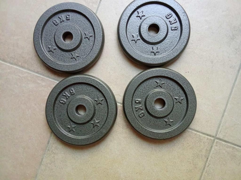 halterschijven, Ophalen, Zo goed als nieuw, Halterschijven