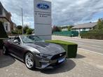 Ford Mustang Mustang Convertible 2.3 EcoBoost (EU6.2), Auto's, Ford, 4 zetels, Zwart, 4 cilinders, Cabriolet