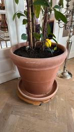 Grand pot de fleurs en terre cuite avec couvercle inférieur, Enlèvement, Utilisé