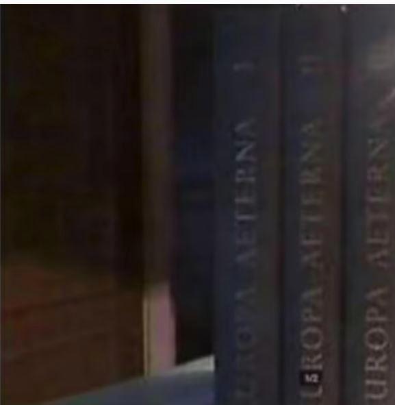 Drie delen van „Europa Aeterna”, Boeken, Encyclopedieën, Zo goed als nieuw, Complete serie, Ophalen of Verzenden