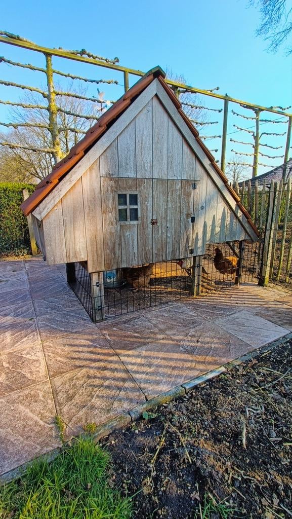 Hardhouten kippenhok, Dieren en Toebehoren, Pluimvee | Toebehoren, Ophalen