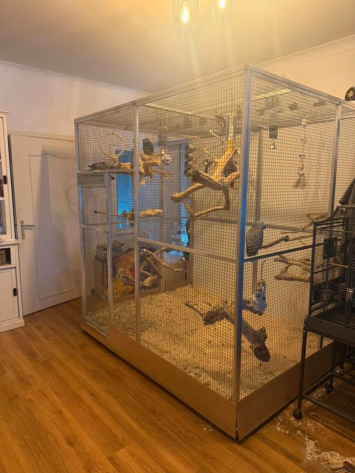 Grote voliere aluminium, Animaux & Accessoires, Oiseaux | Cages & Volières, Comme neuf, Volière, Aluminium, Enlèvement