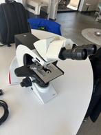 Professionele Microssoop Leica DM2000, Ophalen, Zo goed als nieuw, 1000x of meer, Biologische microscoop