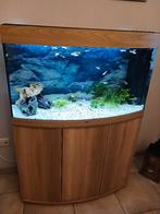 Juwel aquarium 101 cm breed, Enlèvement, Utilisé