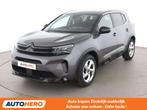 Citroën C5 Aircross 1.5 Blue-HDi Feel Pack (automatique), Autos, Argent ou Gris, Achat, Détection des panneaux routiers, Euro 6
