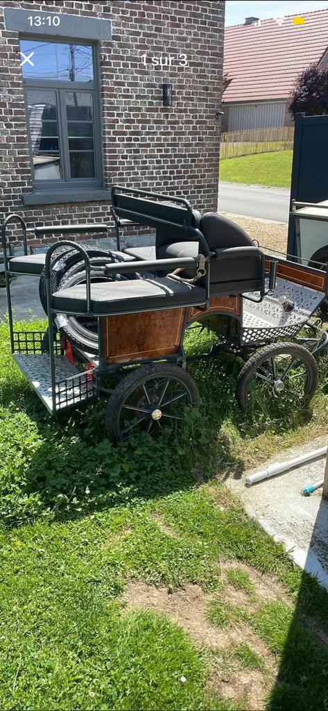 Voiture d’attelage poney Herman attelage, Animaux & Accessoires, Chevaux & Poneys | Autres trucs de cheval, Utilisé, Récréation