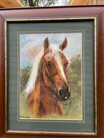 kader paard, Ophalen, Zo goed als nieuw, Minder dan 50 cm, Minder dan 50 cm