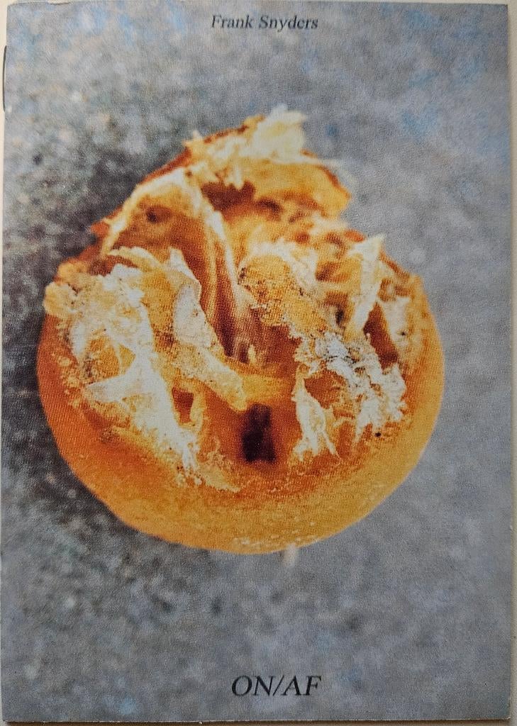 Francis Denys ON/AF - Frank Snyders - Leuven 2001, Boeken, Kunst en Cultuur | Beeldend, Zo goed als nieuw, Ophalen of Verzenden