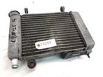 CBR125R 2011 - 2016 Honda Radiator D1-47987, Motoren