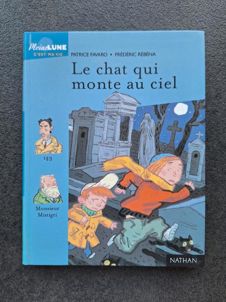 Le chat qui monte au ciel - Nathan (10-11ans), Livres, Livres pour enfants | Jeunesse | 10 à 12 ans, Neuf, Fiction, Enlèvement