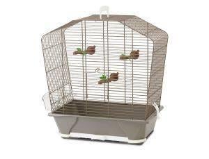 cage avec sizerins, Animaux & Accessoires, Oiseaux | Cages & Volières, Enlèvement, Comme neuf, Bois, Volière