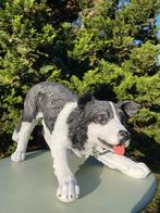 (Tuin)beeld Bordercollie, hond, tuin, kennel 60cm, Tuin en Terras, Tuinbeelden, Ophalen, Nieuw, Kunststof, Dierenbeeld