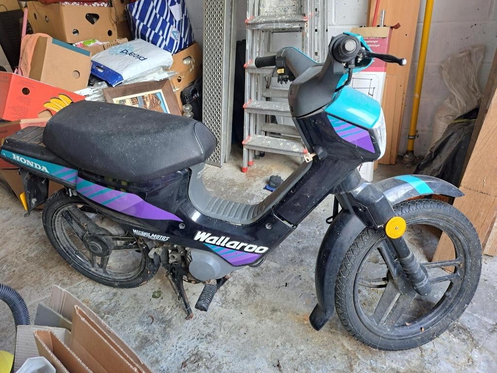 Mobylette Honda Wallaroo 1994, Particulier