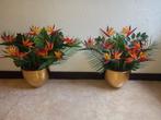 Lots de deux plante oiseau du paradis, plus un pot vide, Enlèvement