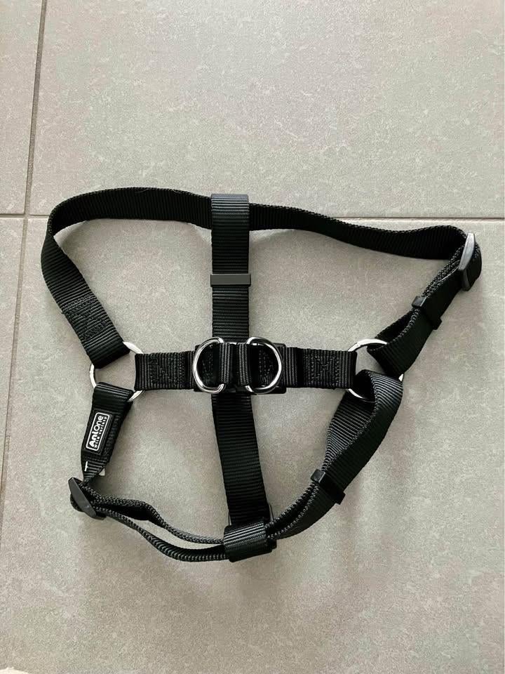 Honden instap harnas maat L, Animaux & Accessoires, Accessoires pour chiens, Comme neuf, Enlèvement ou Envoi