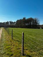 Lot betonnen palen +-250, Dieren en Toebehoren