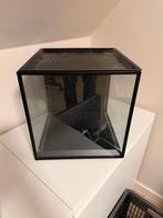 IKEA SAMMANHANG Display box | nauwelijks gebruikt, Ophalen, Minder dan 50 cm, Met klep(pen), Zo goed als nieuw