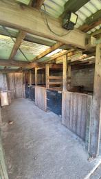 Paardenweide te huur voor max 2 paarden, Weidegang, 2 of 3 paarden of pony's