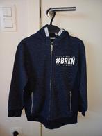 Trui 134/140, Kinderen en Baby's, Kinderkleding | Maat 134, Ophalen of Verzenden, Gebruikt, Jongen, Trui of Vest