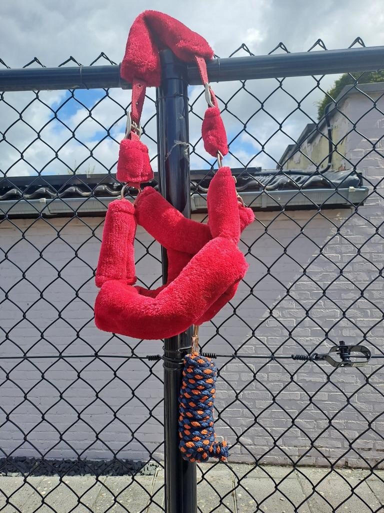 Rood halster, Animaux & Accessoires, Chevaux & Poneys | Brides & Harnachement, Enlèvement