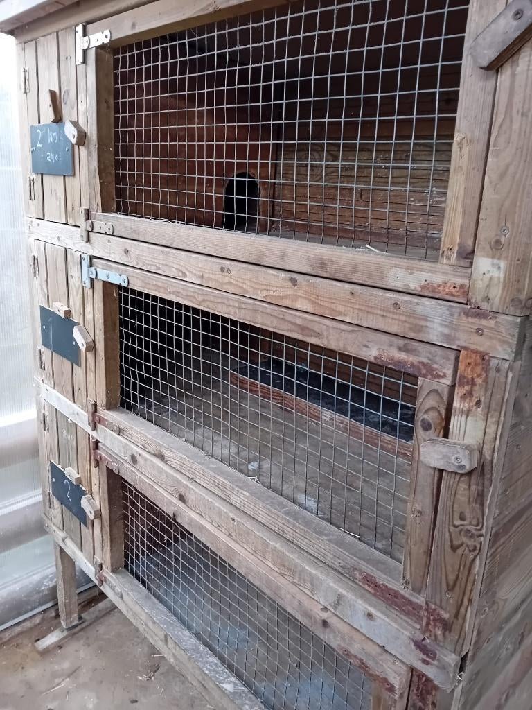 Konijnen flat, Ophalen, 90 cm of meer, Konijn, Hok