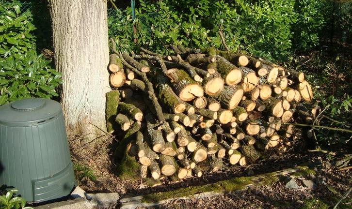 eikenhout 10m3, Tuin en Terras, Brandhout, Takken, Eikenhout, Ophalen