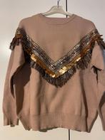 Trui (TU), Kleding | Dames, Ophalen of Verzenden, Gedragen