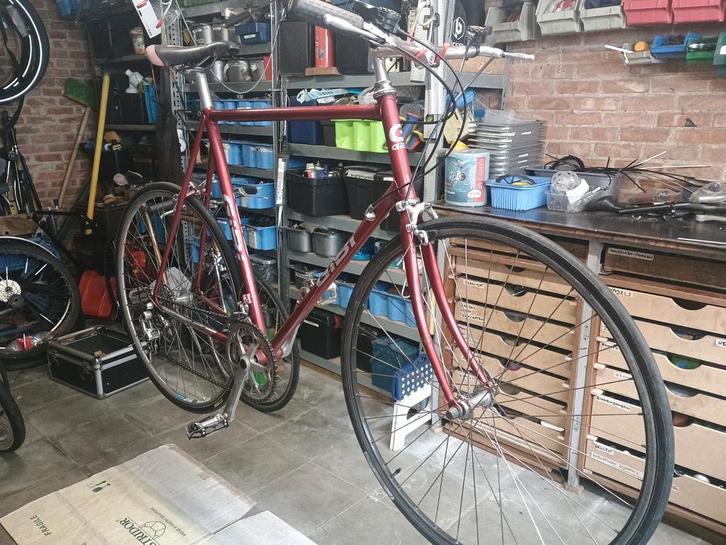 Fiets voor grote persoon, Fietsen en Brommers, Fietsen | Oldtimers, Ophalen